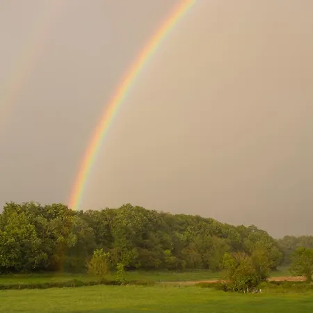 Alojamento de Acomodação e Pequeno-almoço Woodview 3*