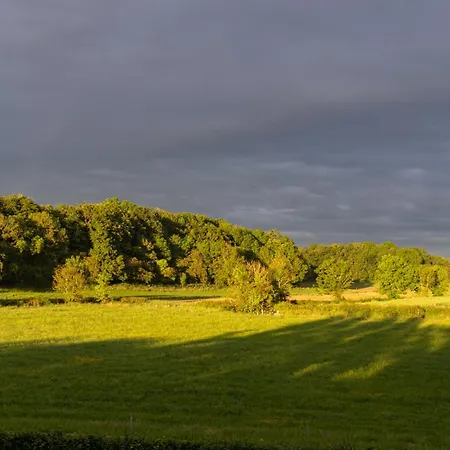 Alojamento de Acomodação e Pequeno-almoço Woodview Trim